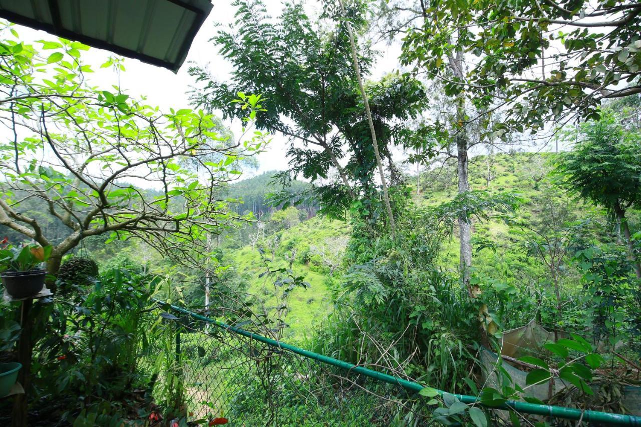 Nature Relax Ella Extérieur photo